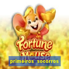 primeiros socorros no esporte pdf