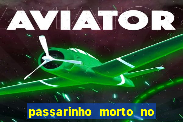 passarinho morto no quintal significado espiritual