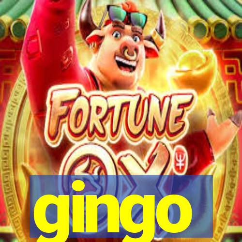 gingo