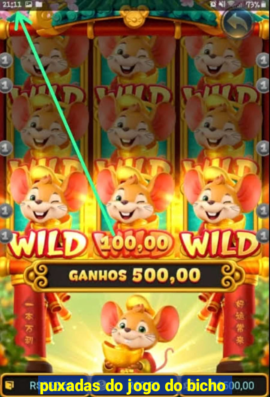 puxadas do jogo do bicho