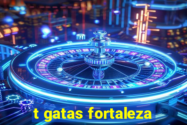 t gatas fortaleza