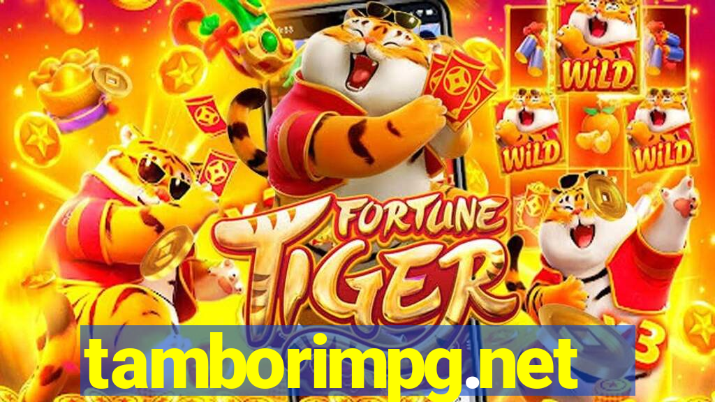 tamborimpg.net