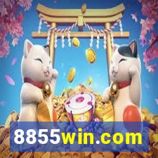 8855win.com
