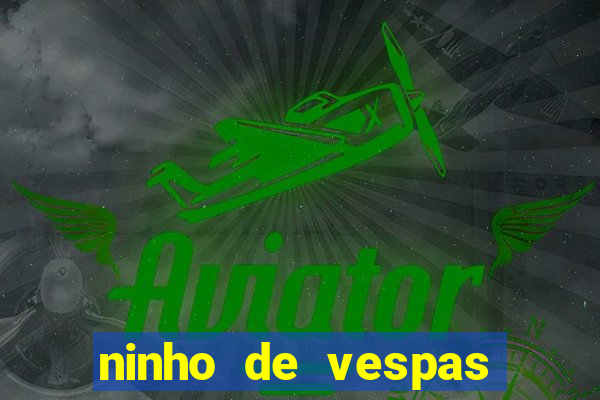 ninho de vespas significado espiritual