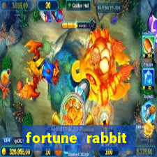 fortune rabbit melhor plataforma