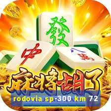 rodovia sp-300 km 72