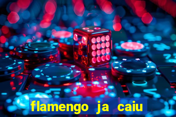 flamengo ja caiu para serie b