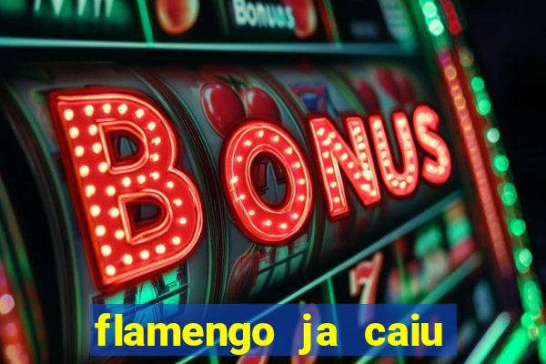 flamengo ja caiu para serie b