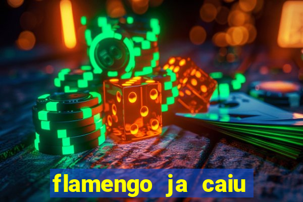 flamengo ja caiu para serie b