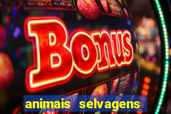 animais selvagens fotos e nomes
