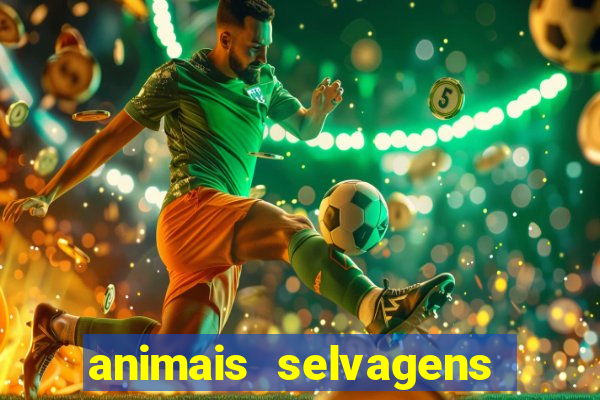 animais selvagens fotos e nomes