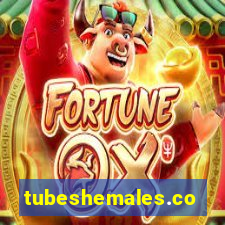 tubeshemales.com
