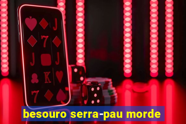 besouro serra-pau morde