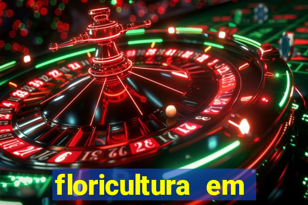 floricultura em franca sp