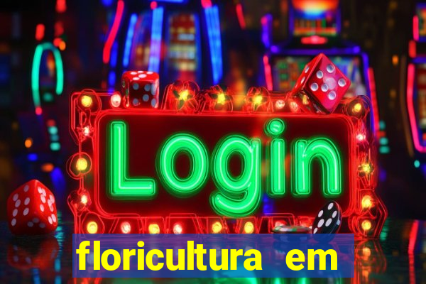floricultura em franca sp