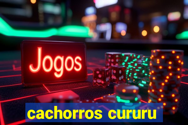 cachorros cururu