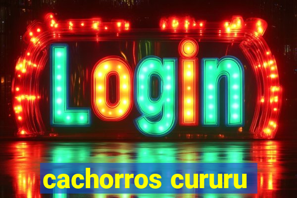 cachorros cururu