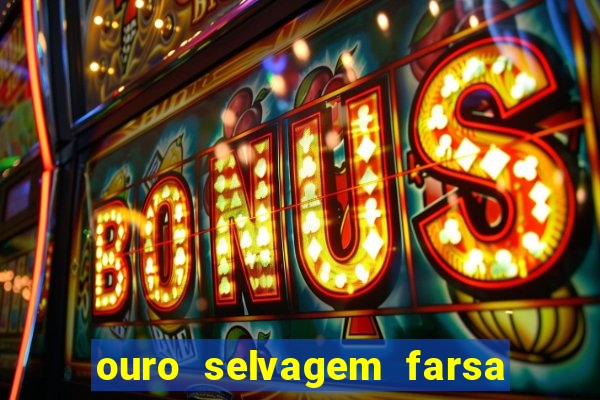 ouro selvagem farsa ouro selvagem o que aconteceu