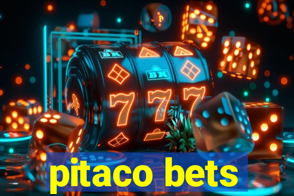 pitaco bets