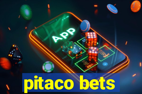 pitaco bets