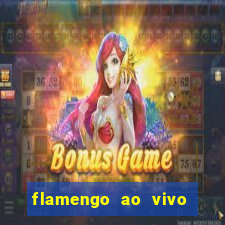 flamengo ao vivo multi tv