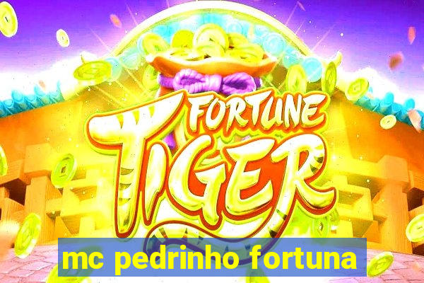 mc pedrinho fortuna