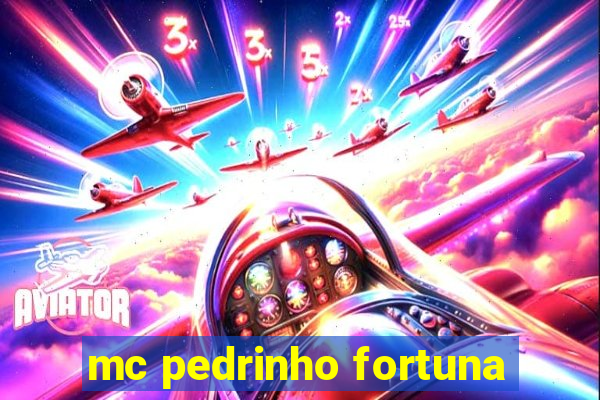 mc pedrinho fortuna