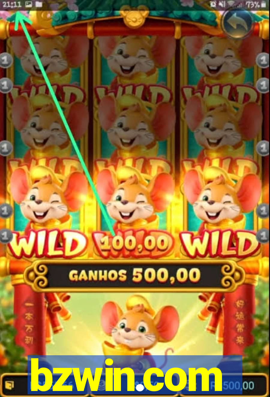 bzwin.com