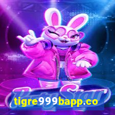 tigre999bapp.com