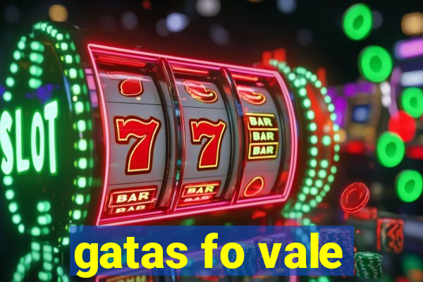 gatas fo vale