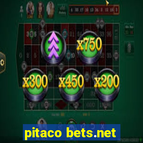 pitaco bets.net