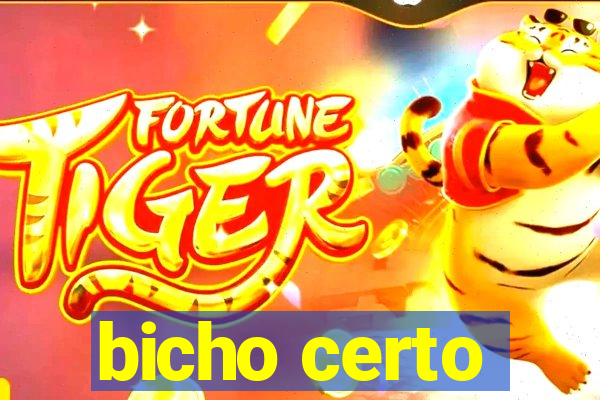 bicho certo