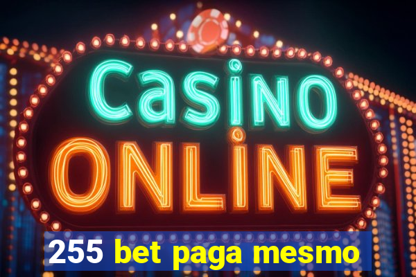 255 bet paga mesmo