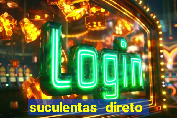 suculentas direto do produtor rs