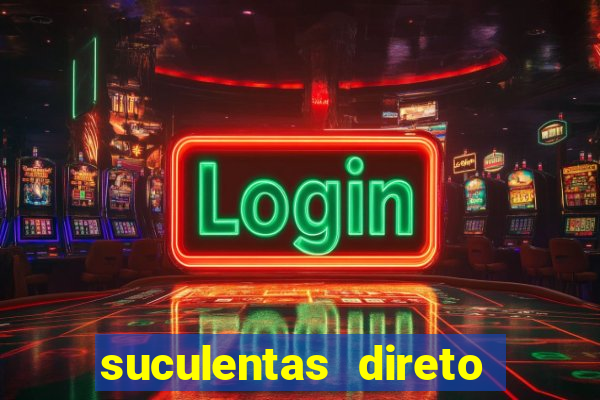 suculentas direto do produtor rs