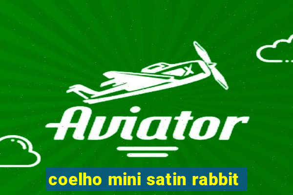 coelho mini satin rabbit