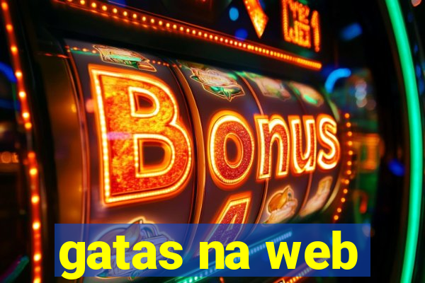 gatas na web