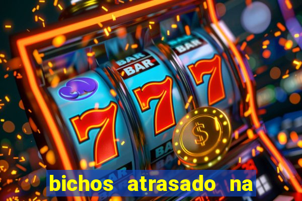 bichos atrasado na loteria dos sonhos