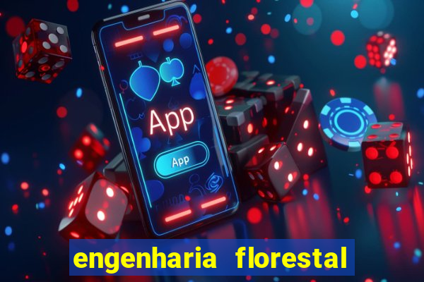 engenharia florestal ead cruzeiro do sul