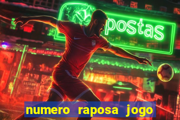 numero raposa jogo do bicho