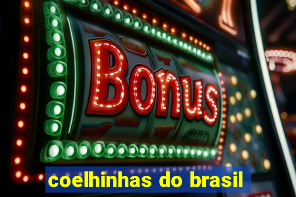 coelhinhas do brasil