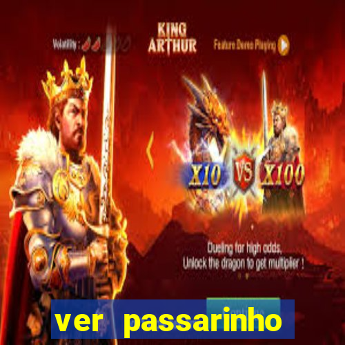 ver passarinho morto significado espiritual