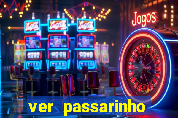 ver passarinho morto significado espiritual