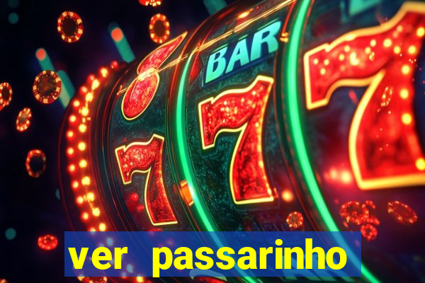 ver passarinho morto significado espiritual