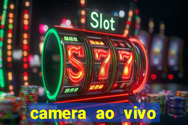 camera ao vivo porto de galinhas