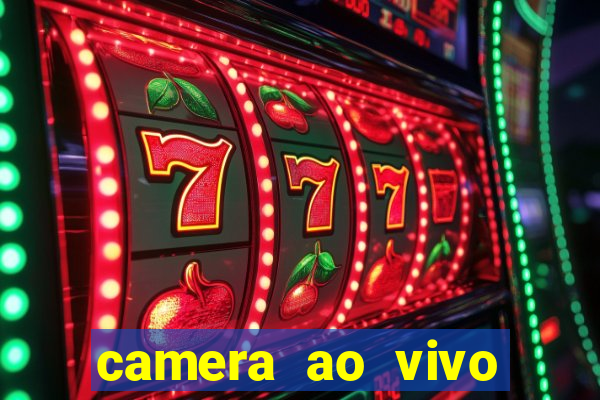 camera ao vivo porto de galinhas