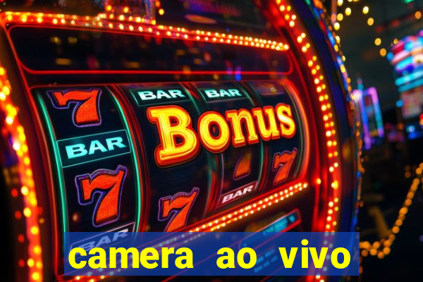 camera ao vivo porto de galinhas