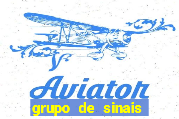 grupo de sinais fortune rabbit